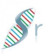 Screenrisk DNA Logo